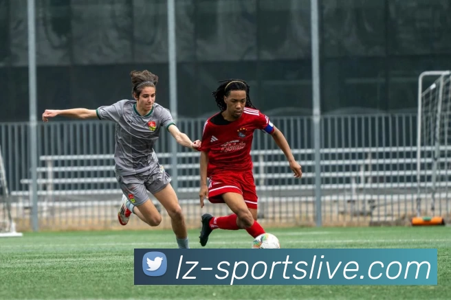 App Interface Preview